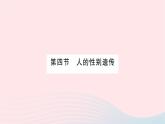 2023八年级生物下册第七单元生物圈中生命的延续和发展第二章生物的遗传与变异第四节人的性别遗传作业课件新版新人教版