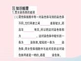 2023八年级生物下册第七单元生物圈中生命的延续和发展第二章生物的遗传与变异第四节人的性别遗传作业课件新版新人教版