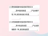2023八年级生物下册第七单元生物圈中生命的延续和发展第二章生物的遗传与变异第四节人的性别遗传作业课件新版新人教版