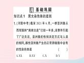 2023八年级生物下册第七单元生物圈中生命的延续和发展第二章生物的遗传与变异第四节人的性别遗传作业课件新版新人教版
