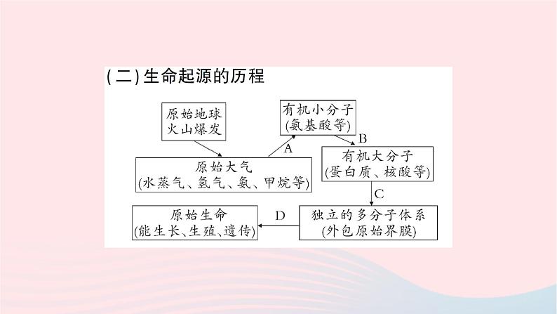 2023八年级生物下册第七单元生物圈中生命的延续和发展第三章生命起源和生物进化总结训练作业课件新版新人教版第6页