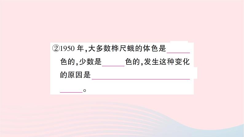 2023八年级生物下册第七单元生物圈中生命的延续和发展第三章生命起源和生物进化第三节生物进化的原因作业课件新版新人教版03