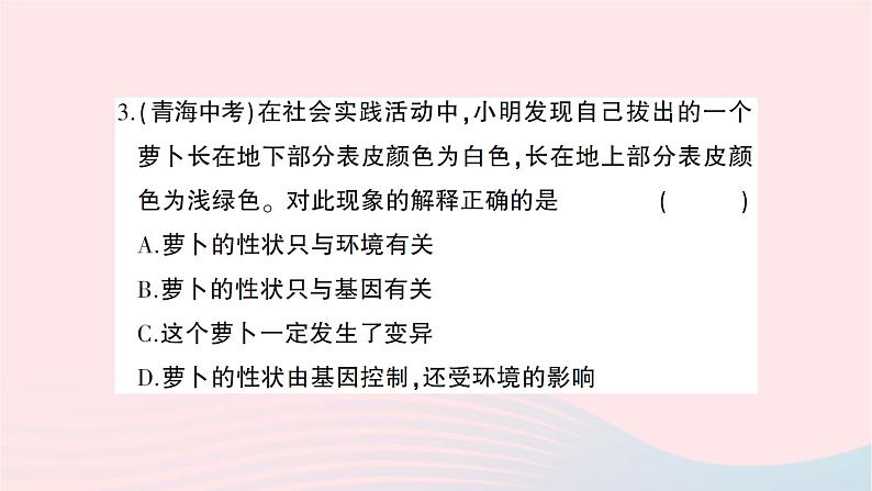 2023八年级生物下册第七单元第二章生物的遗传与变异综合训练作业课件新版新人教版04