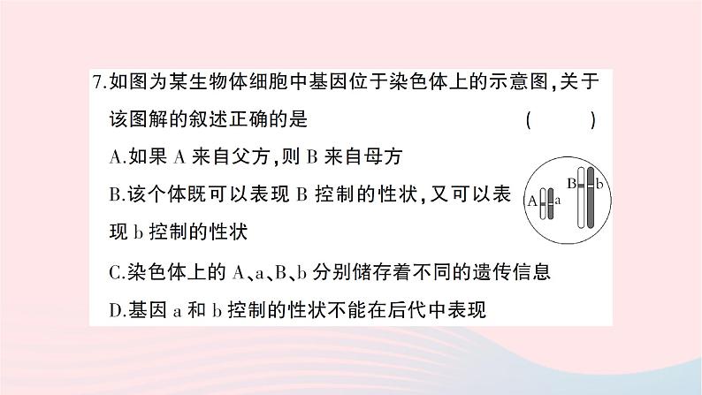 2023八年级生物下册第七单元第二章生物的遗传与变异综合训练作业课件新版新人教版08