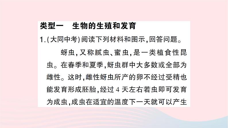 2023八年级生物下册期末复习专题一材料阅读题作业课件新版新人教版02