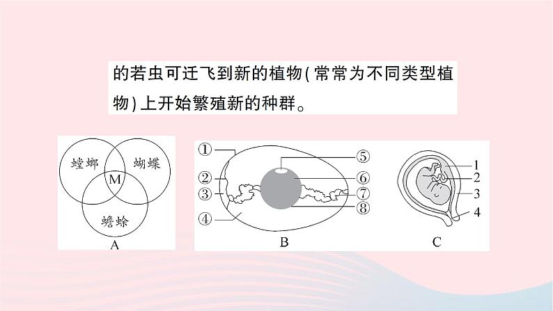 2023八年级生物下册期末复习专题一材料阅读题作业课件新版新人教版04