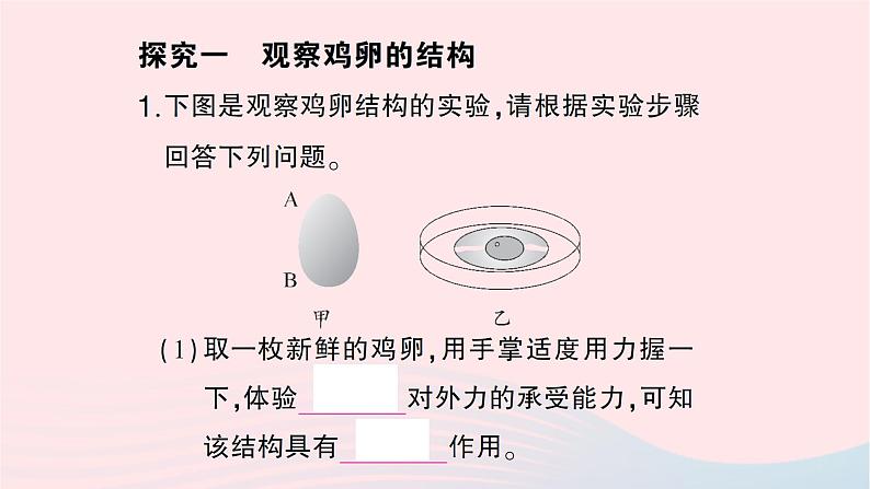 2023八年级生物下册期末复习专题三实验探究题作业课件新版新人教版第2页