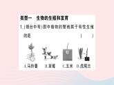 2023八年级生物下册期末复习专题二识图分析题作业课件新版新人教版