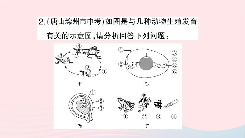 2023八年级生物下册期末复习专题二识图分析题作业课件新版新人教版03