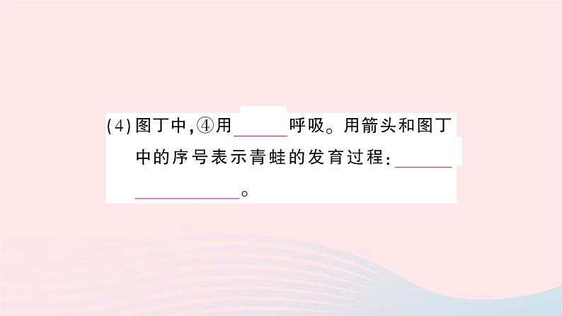 2023八年级生物下册期末复习专题二识图分析题作业课件新版新人教版05