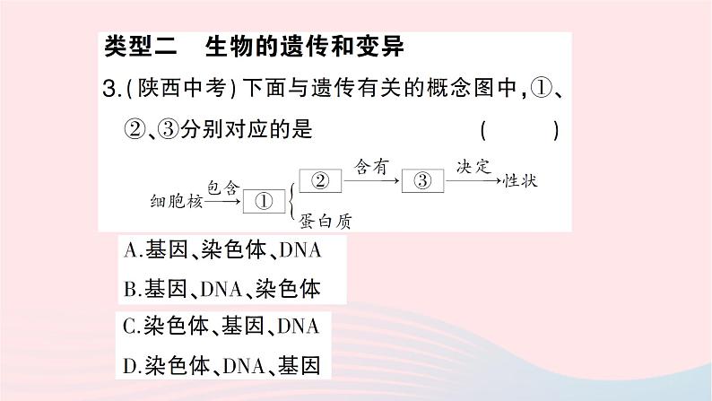 2023八年级生物下册期末复习专题二识图分析题作业课件新版新人教版06