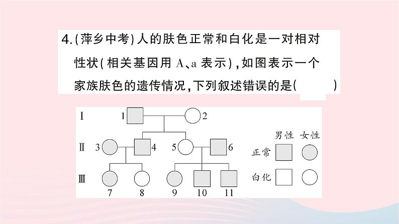 2023八年级生物下册期末复习专题二识图分析题作业课件新版新人教版07