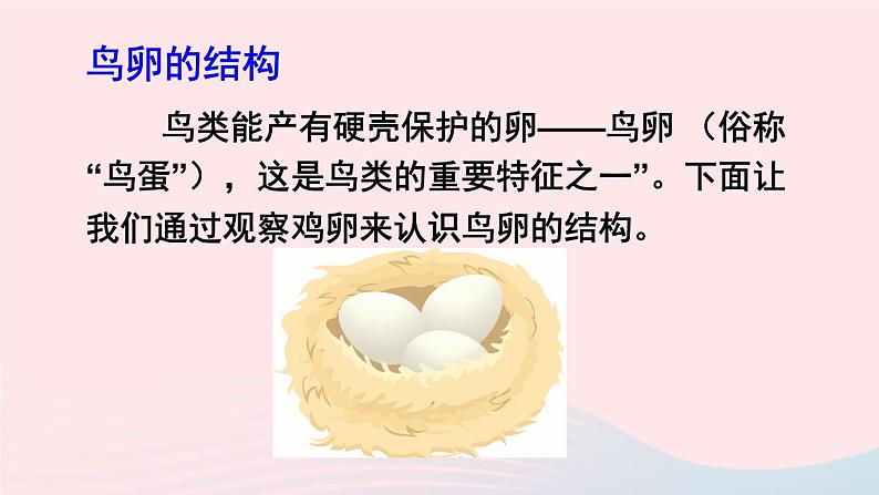 2023八年级生物下册第七单元生物圈中生命的延续和发展第一章生物的生殖和发育第四节鸟的生殖和发育上课课件新版新人教版第4页