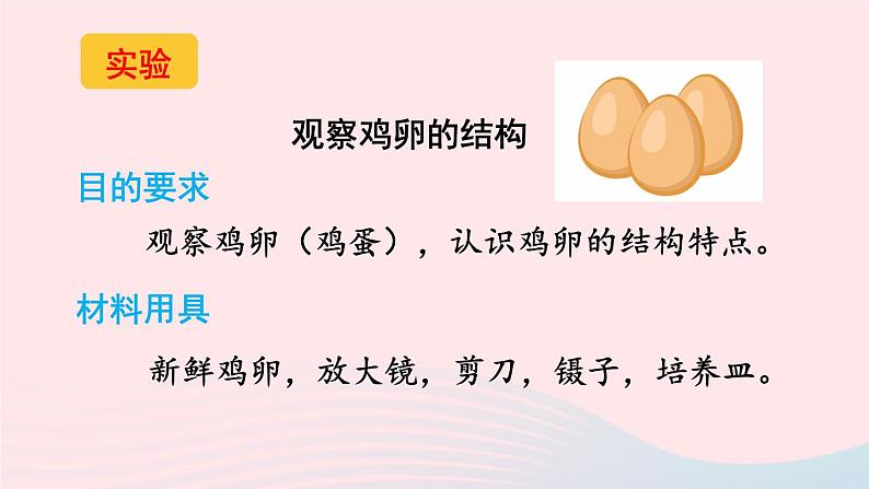 2023八年级生物下册第七单元生物圈中生命的延续和发展第一章生物的生殖和发育第四节鸟的生殖和发育上课课件新版新人教版第5页