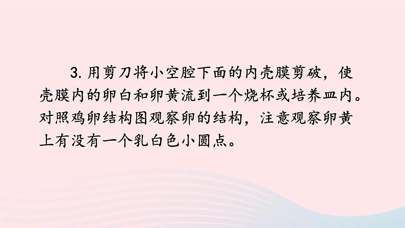 2023八年级生物下册第七单元生物圈中生命的延续和发展第一章生物的生殖和发育第四节鸟的生殖和发育上课课件新版新人教版第7页