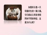 2023八年级生物下册第七单元生物圈中生命的延续和发展第二章生物的遗传与变异第一节基因控制生物的性状上课课件新版新人教版