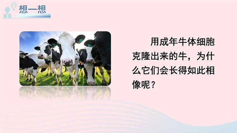 2023八年级生物下册第七单元生物圈中生命的延续和发展第二章生物的遗传与变异第一节基因控制生物的性状上课课件新版新人教版04