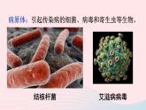 2023八年级生物下册第八单元降地生活第一章传染病和免疫第一节传染病及其预防上课课件新版新人教版