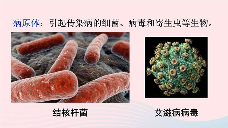 2023八年级生物下册第八单元降地生活第一章传染病和免疫第一节传染病及其预防上课课件新版新人教版05