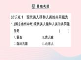 2023七年级生物下册第四单元生物圈中的人第一章人的由来第一节人类的起源和发展作业课件新版新人教版