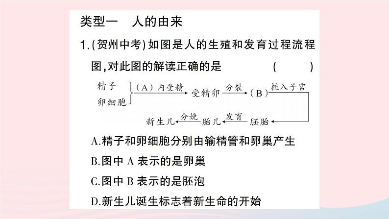 2023七年级生物下册期末复习专题二识图分析题作业课件新版新人教版第2页