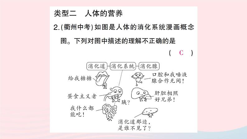 2023七年级生物下册期末复习专题二识图分析题作业课件新版新人教版第3页