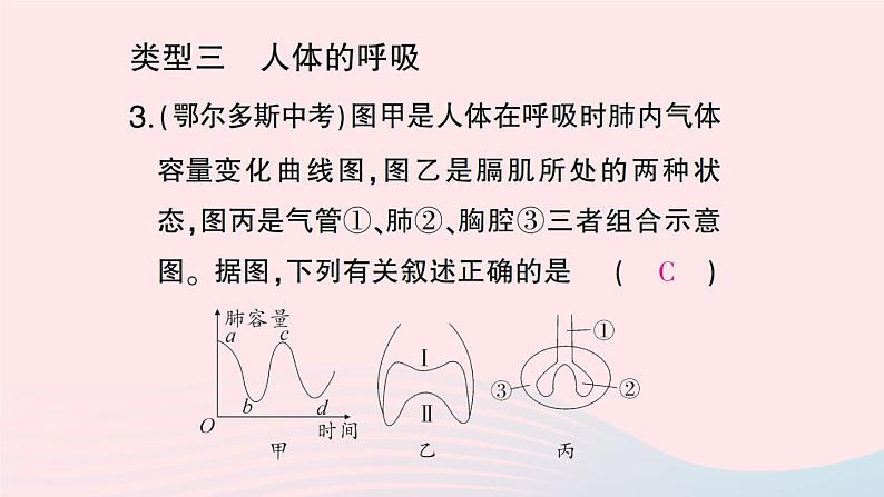 2023七年级生物下册期末复习专题二识图分析题作业课件新版新人教版第5页