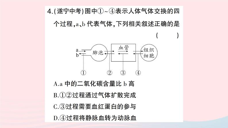 2023七年级生物下册期末复习专题二识图分析题作业课件新版新人教版第7页