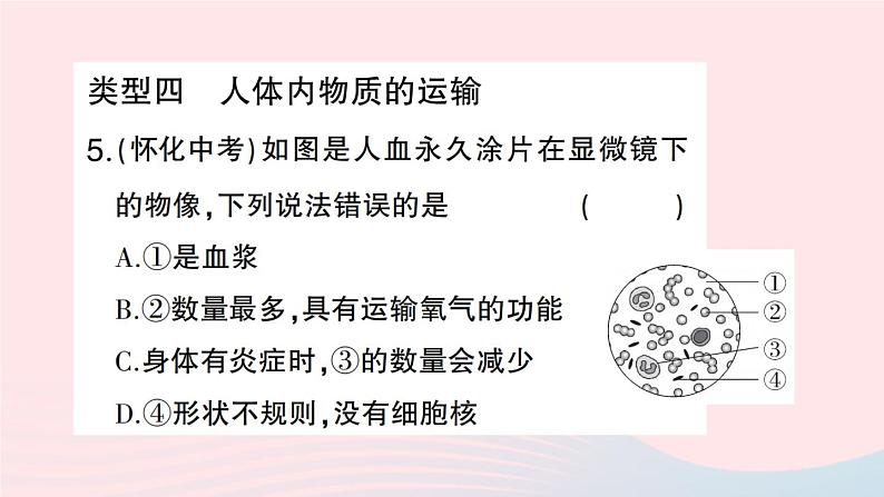 2023七年级生物下册期末复习专题二识图分析题作业课件新版新人教版第8页