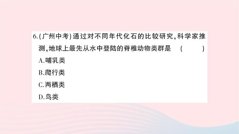 2023八年级生物下册第七单元第三章生命起源和生物进化综合训练作业课件新版新人教版第7页