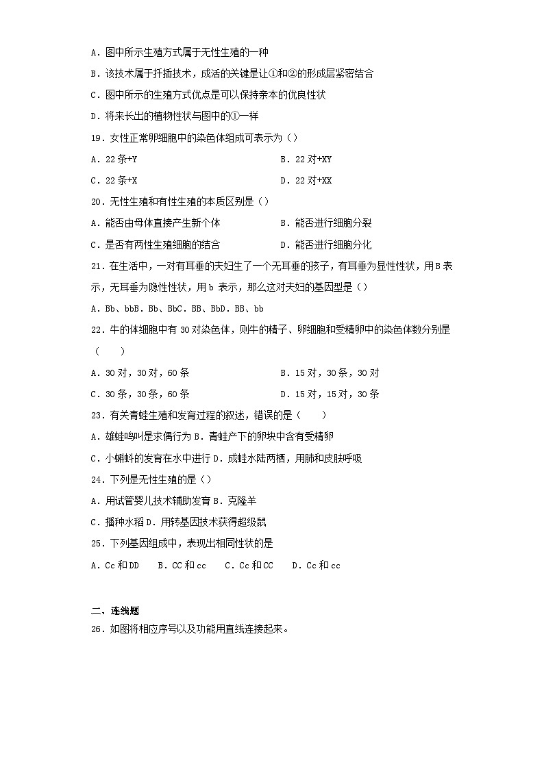 2023八年级生物下册第七单元生物圈中生命的延续和发展测试题新版新人教版03