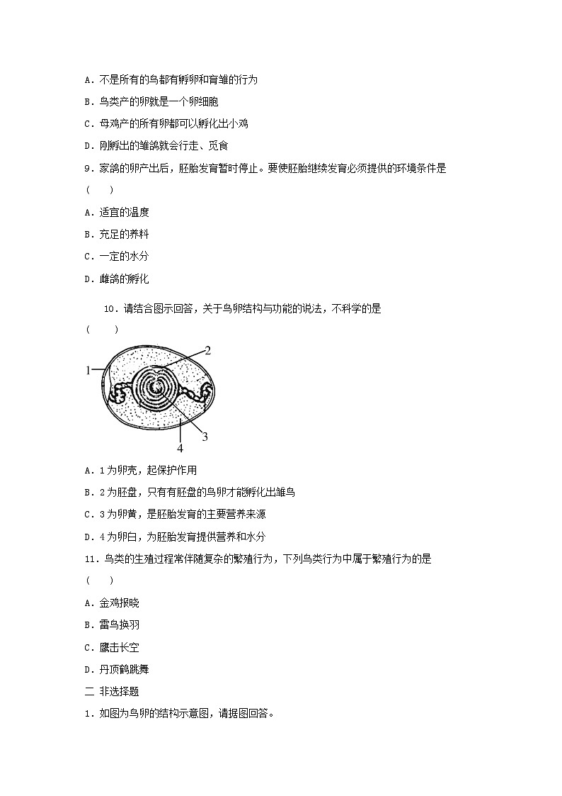 2023八年级生物下册第七单元生物圈中生命的延续和发展第一章生物的生殖和发育第4节鸟的生殖和发育练习新版新人教版02