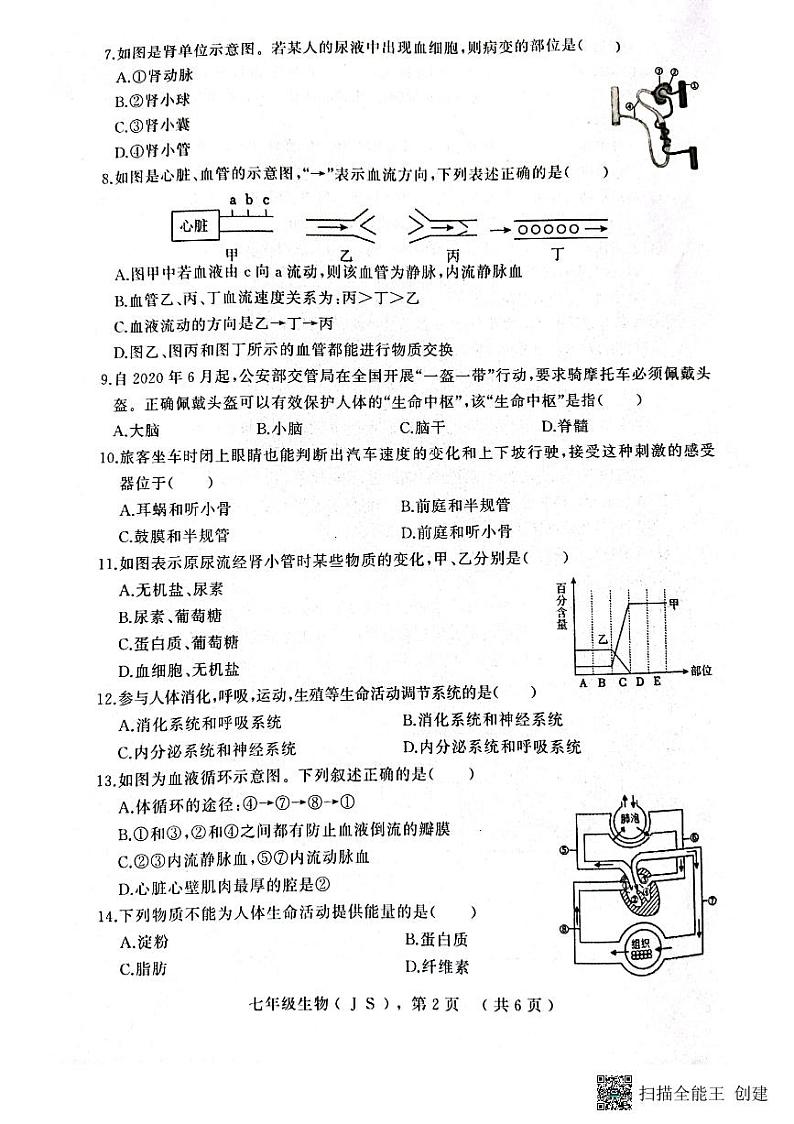 河北省衡水市景县统考2022-2023学年度第二学期期末考试七年级生物试卷及答案03