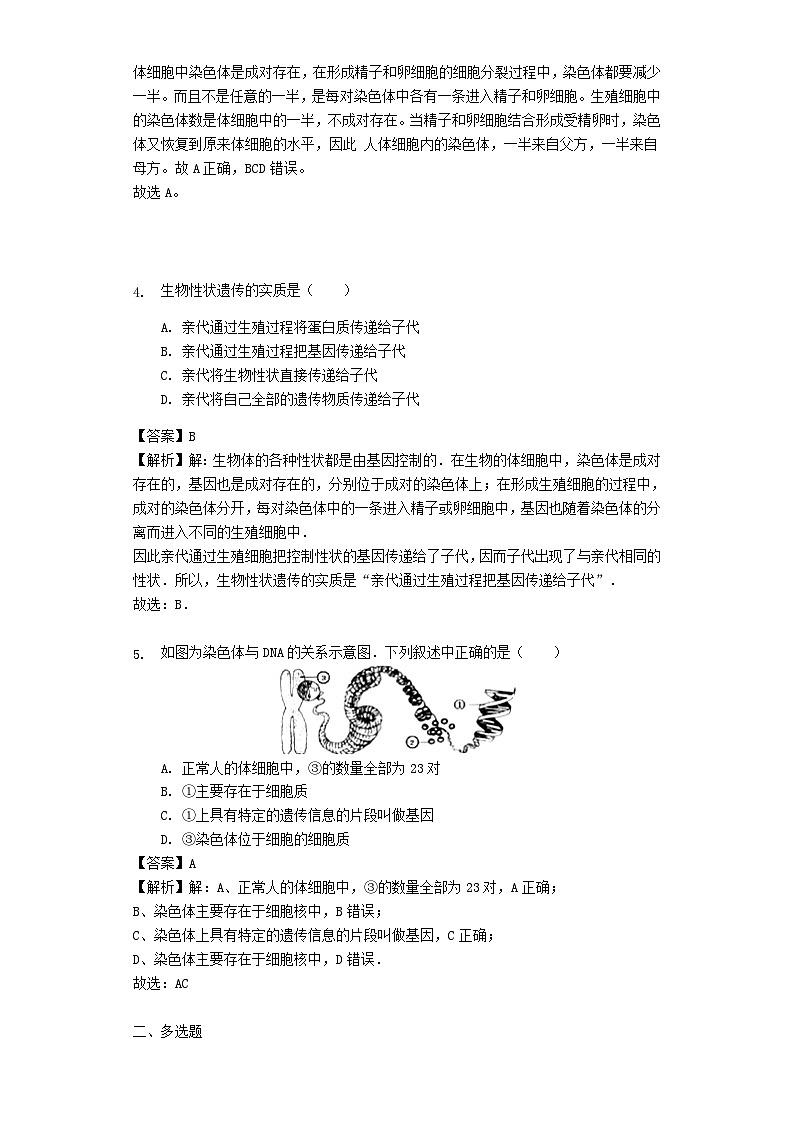 2023八年级生物下册第七单元生物圈中生命的延续和发展第二章生物的遗传和变异第2节基因在亲子间的传递习题新版新人教版02