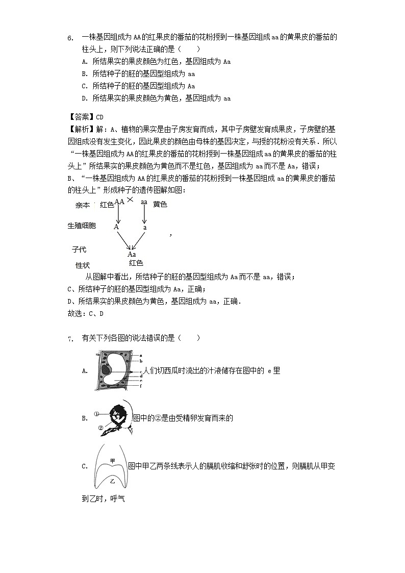 2023八年级生物下册第七单元生物圈中生命的延续和发展第二章生物的遗传和变异第2节基因在亲子间的传递习题新版新人教版03
