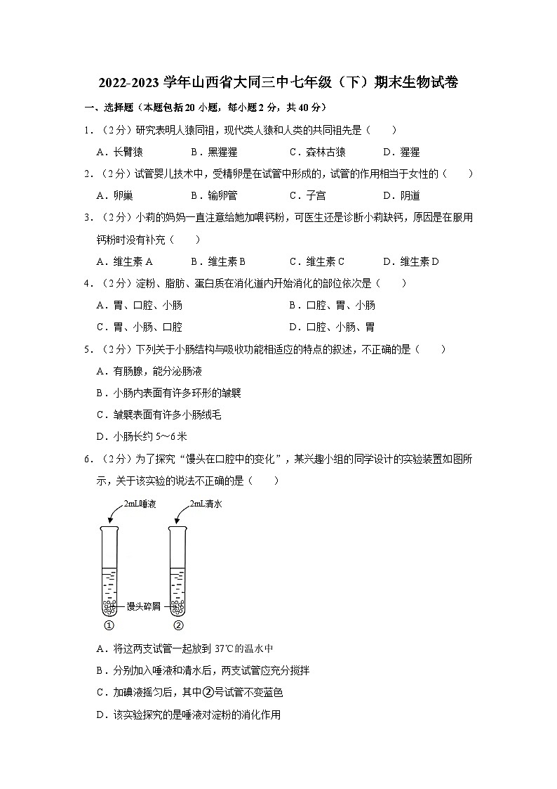 2022-2023学年山西省大同三中七年级下学期期末生物试卷（含解析）01