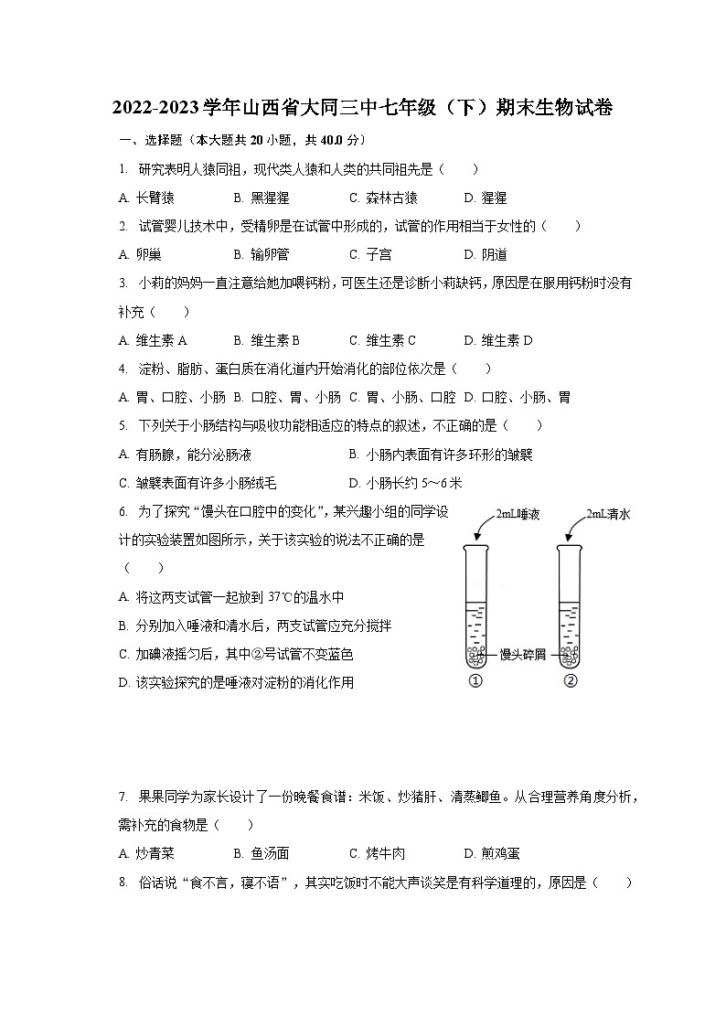 2022-2023学年山西省大同三中七年级（下）期末生物试卷（含解析）01