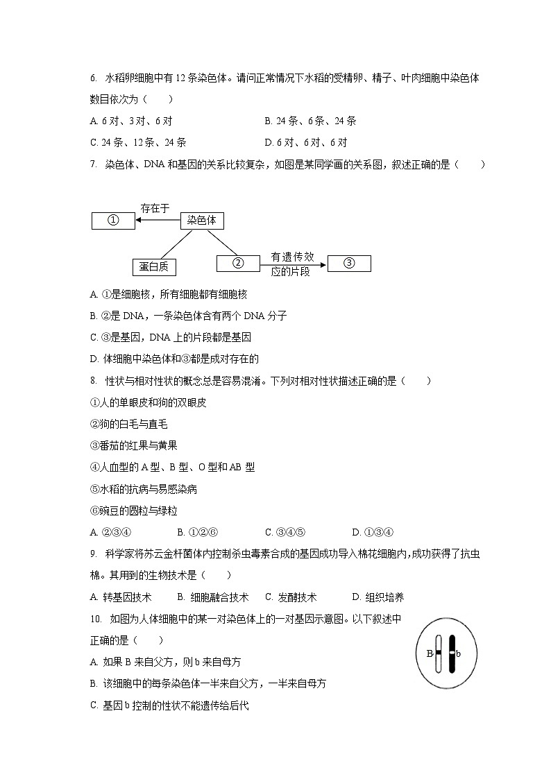 2022-2023学年四川省泸州市龙马潭区八年级（下）期末生物试卷（含解析）02