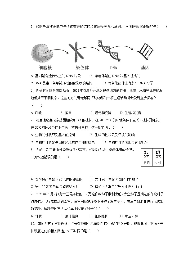 2022-2023学年四川省泸州市泸县八年级（下）期末生物试卷（含解析）02