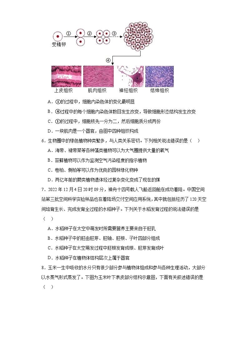2023年河南省十二县一区中考二模生物试题（含解析）第2页