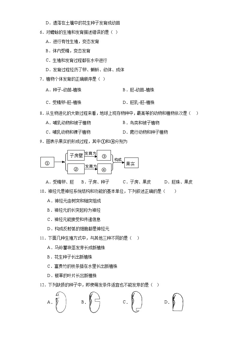 2023年吉林省松原市前郭县学区中考二模生物试题（含解析）02