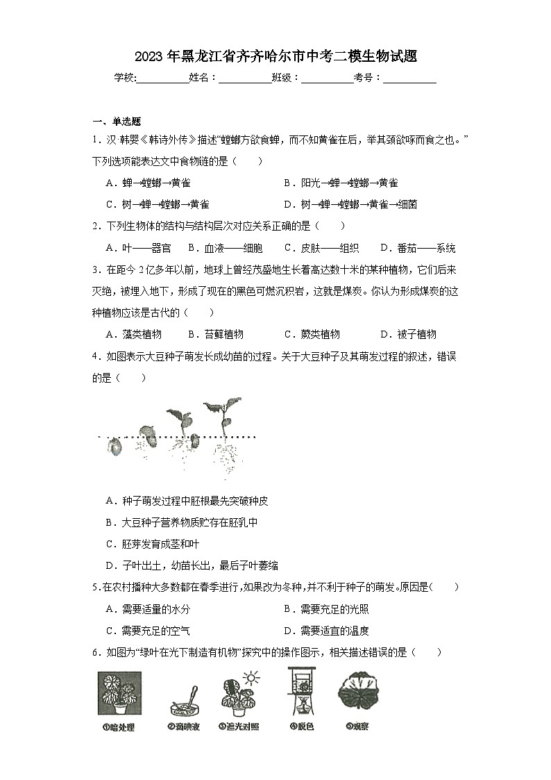 2023年黑龙江省齐齐哈尔市中考二模生物试题（含解析）01
