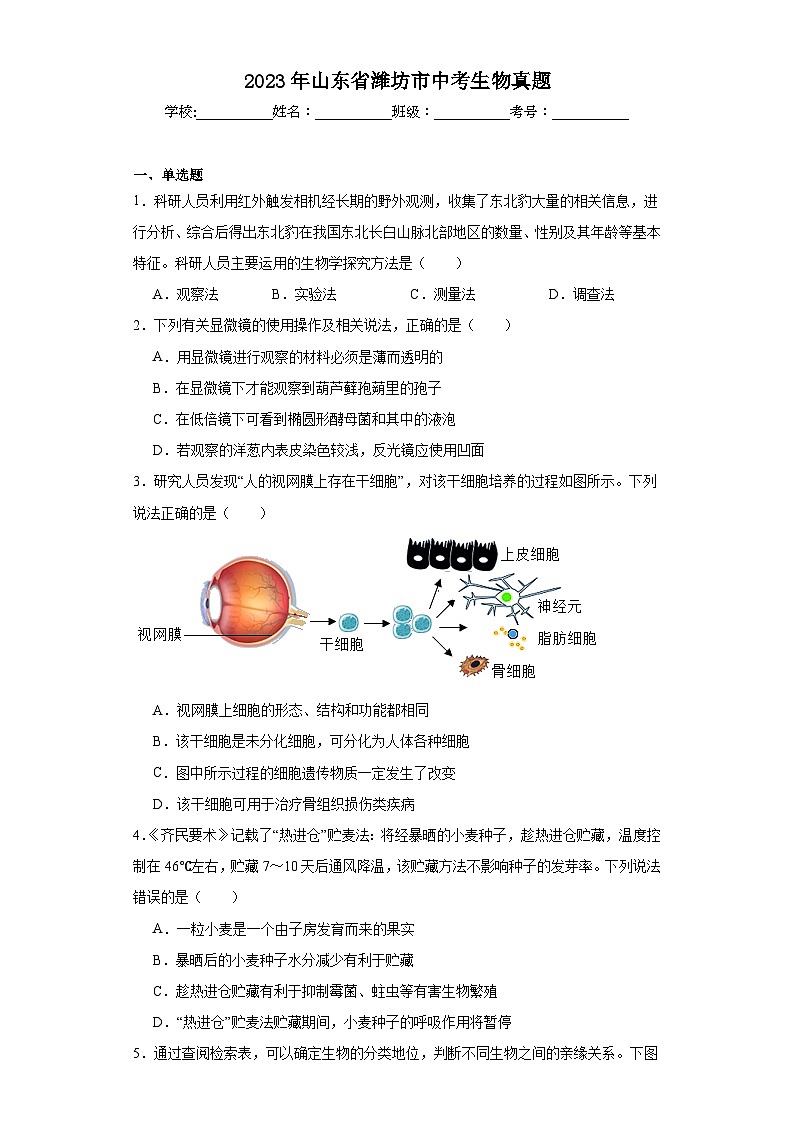 2023年山东省潍坊市中考生物真题（含解析）01