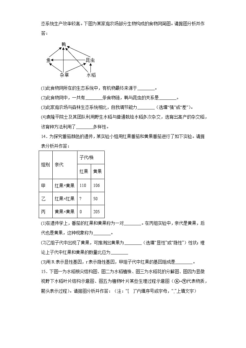 2023年辽宁省大石桥市中考二模生物试题（含解析）第3页