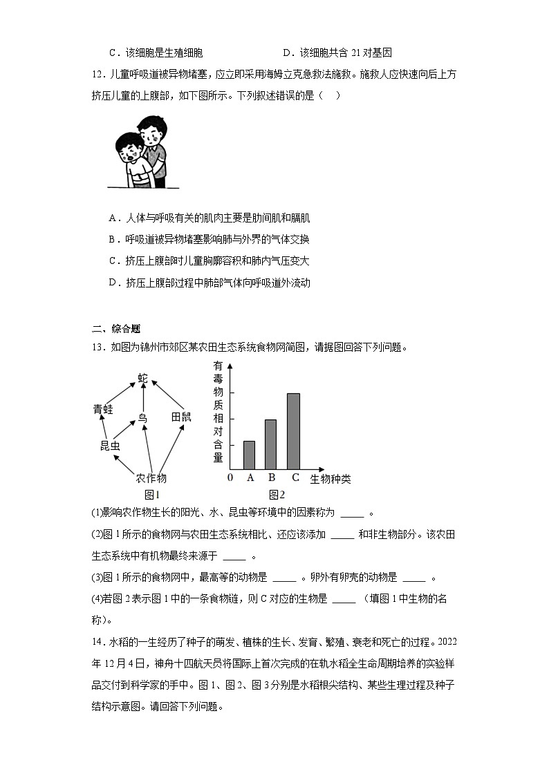 2023年辽宁省锦州市第三初级中学中考生物试题（含解析）03