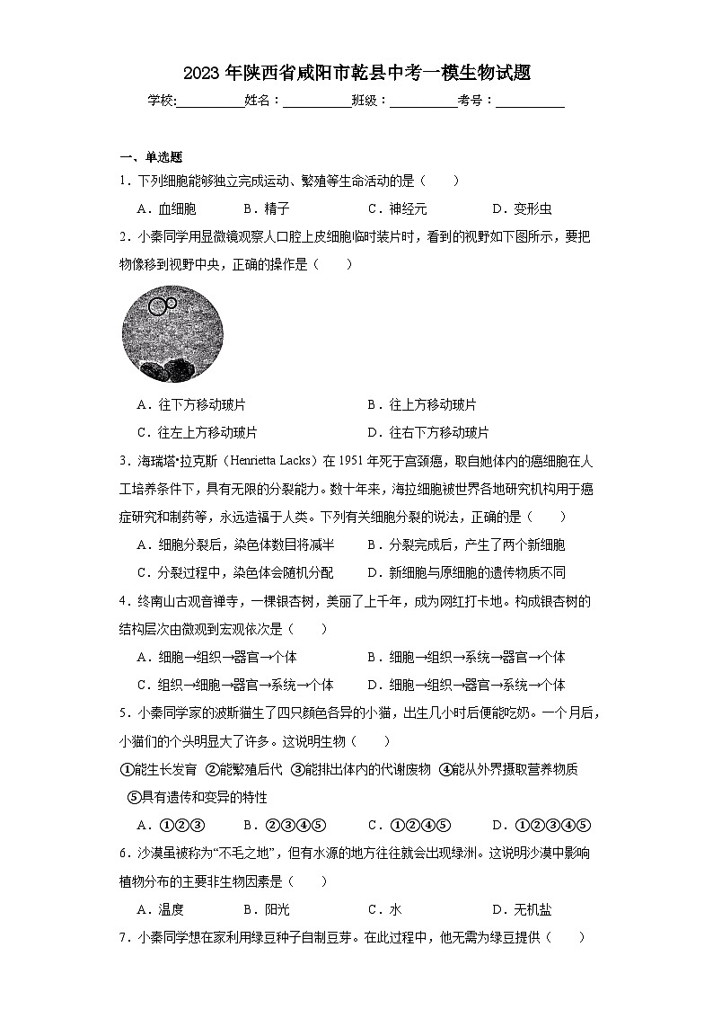 2023年陕西省咸阳市乾县中考一模生物试题（含解析）01