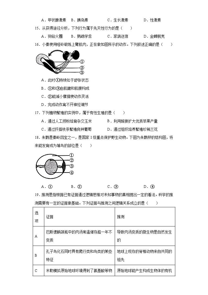 2023年陕西省咸阳市乾县中考一模生物试题（含解析）03