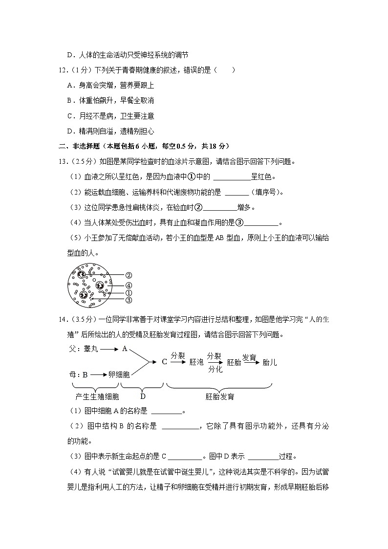 辽宁省铁岭市昌图县2022-2023学年七年级下学期期末生物试卷03