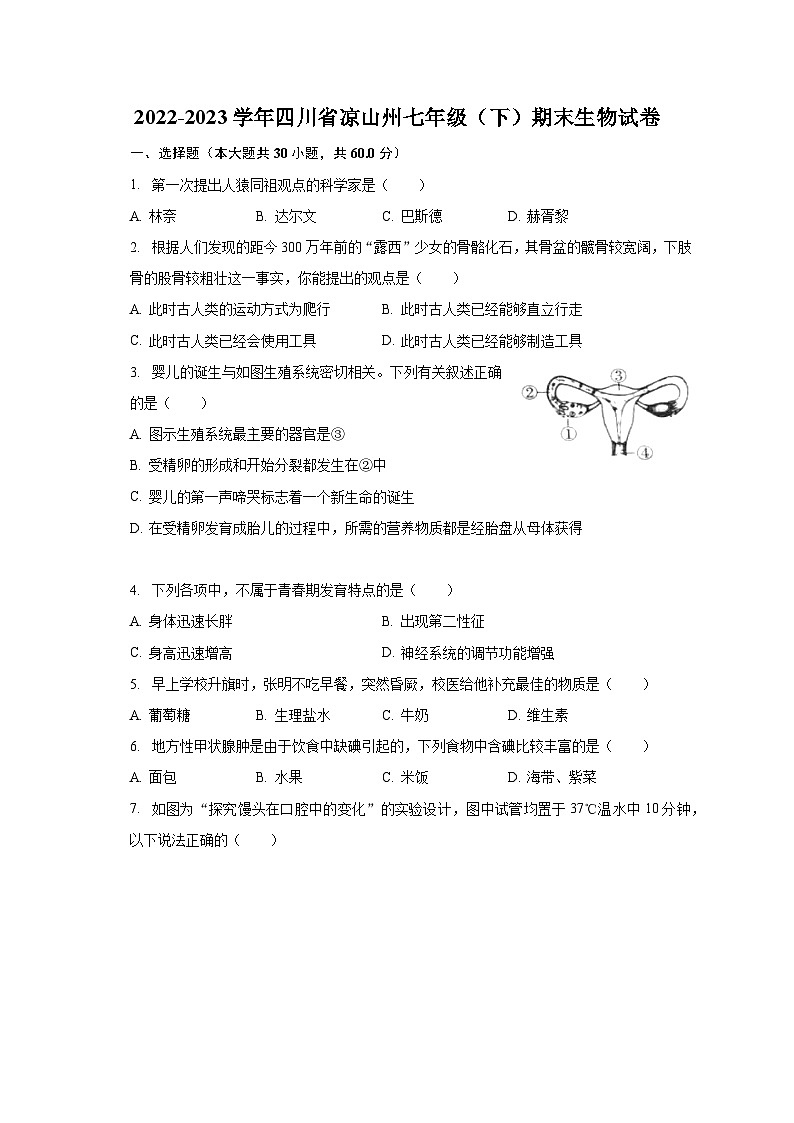 2022-2023学年四川省凉山州七年级（下）期末生物试卷（含解析）第1页