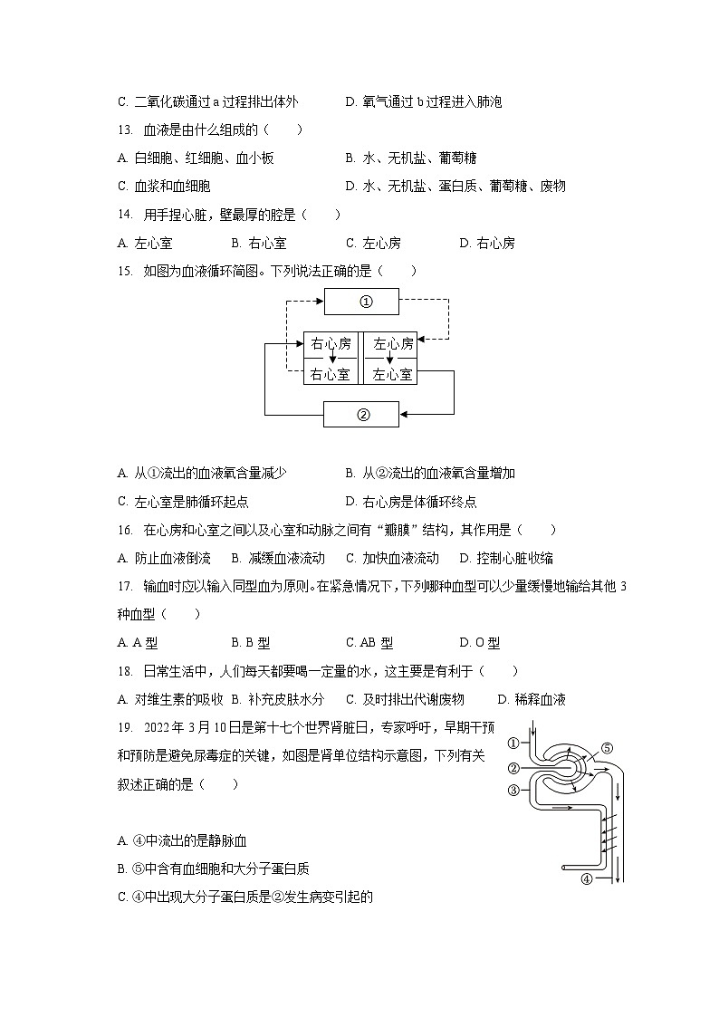 2022-2023学年四川省凉山州七年级（下）期末生物试卷（含解析）第3页